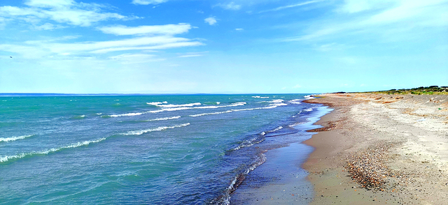 乌伦古湖国家湿地公园