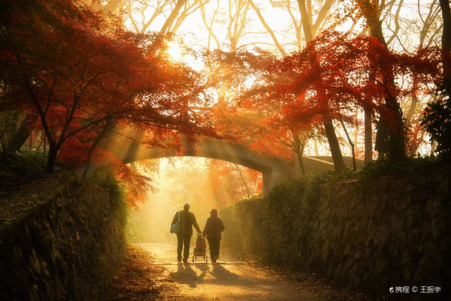 南京中山植物园
