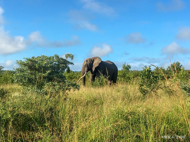 克留格尔国家公园