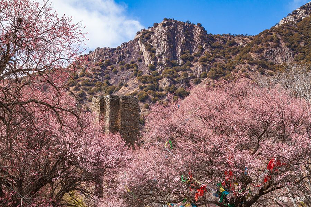 秀巴千年古堡群