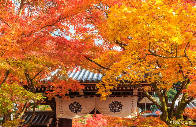 禅林寺 (永観堂)