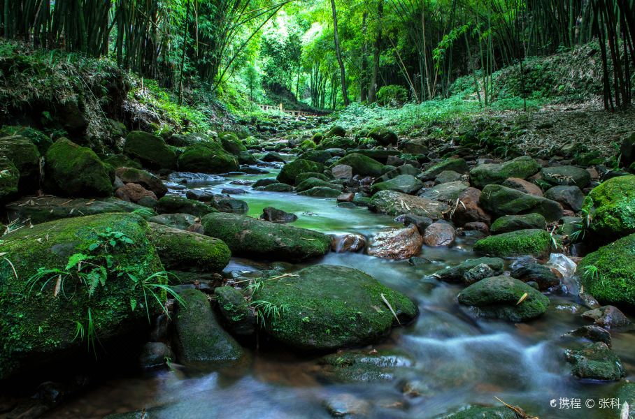 川西竹海景区