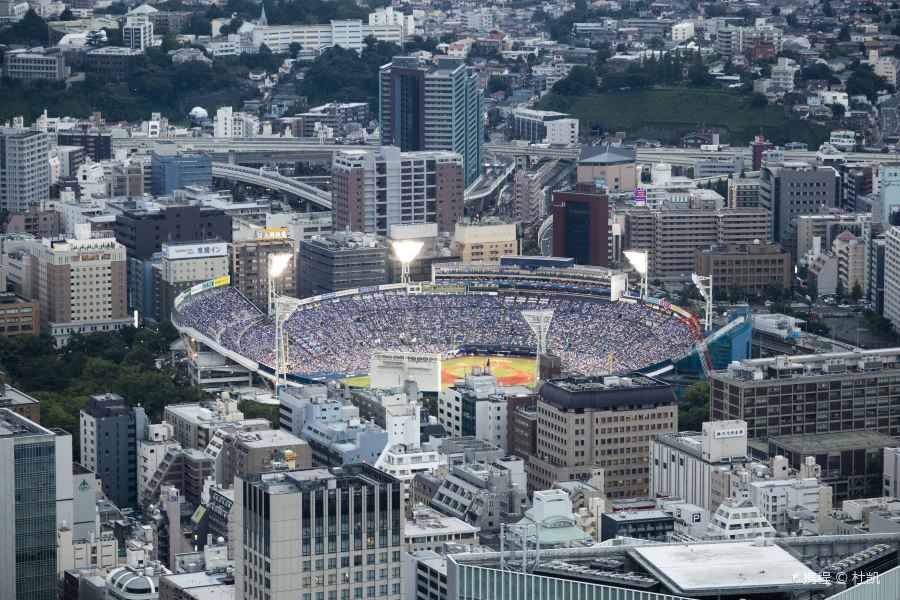 横滨球场旅游景点图片