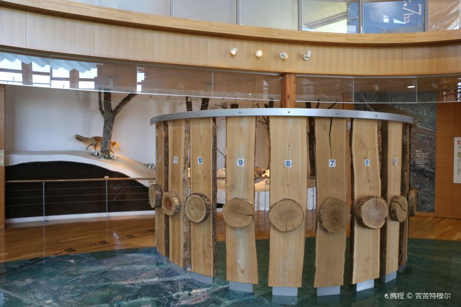 21火山科学馆 旅游攻略 门票 地址 问答 游记点评 洞爷湖町旅游旅游景点推荐 去哪儿攻略