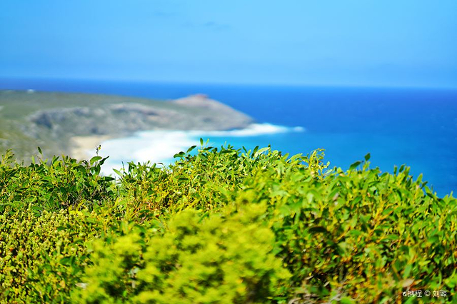 弗林德斯 · 蔡斯国家公园