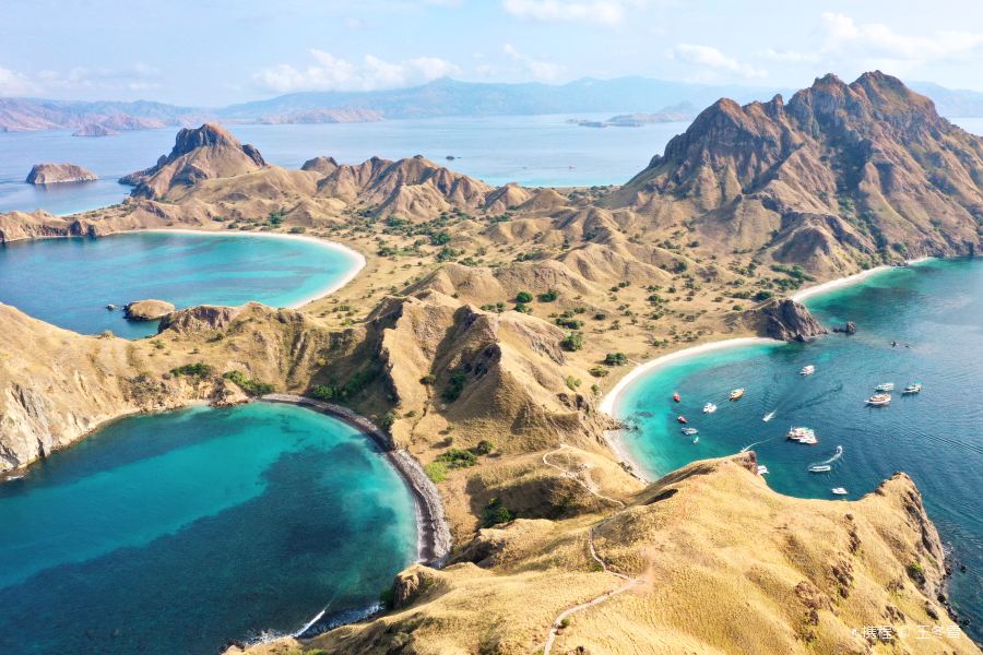 科莫多国家公园