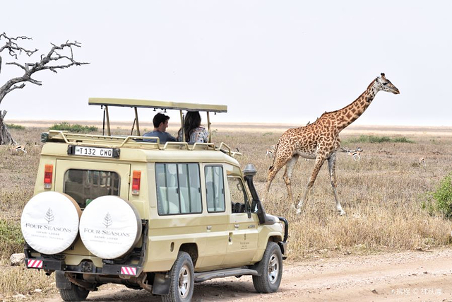 塞伦盖蒂国家公园