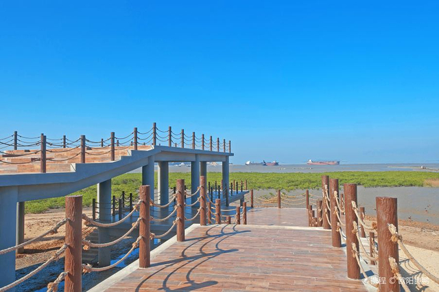 红树林生态公园