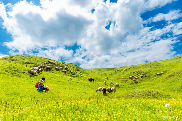 甘肃莲花山国家森林公园