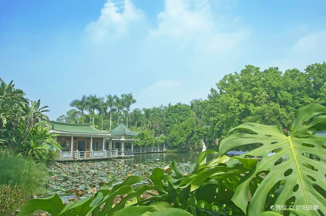 厦门园林植物园-百花厅