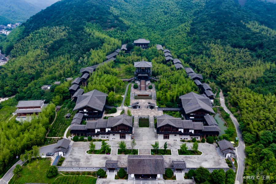 大唐贡茶加盟