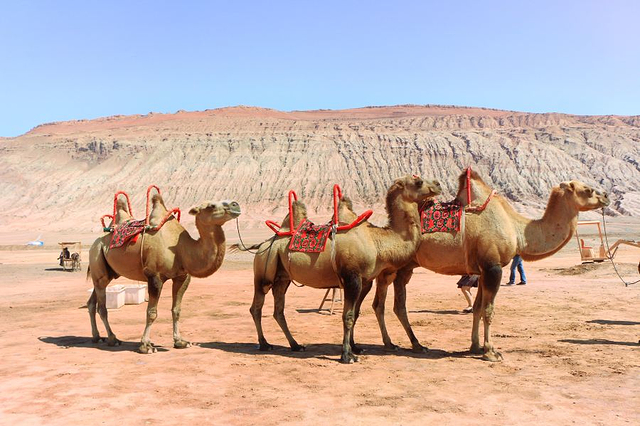 吐鲁番火焰山大景区