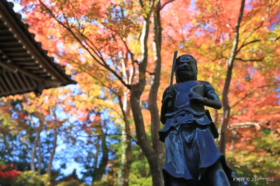 21高尾山 旅游攻略 门票 地址 问答 游记点评 东京旅游旅游景点推荐 去哪儿攻略