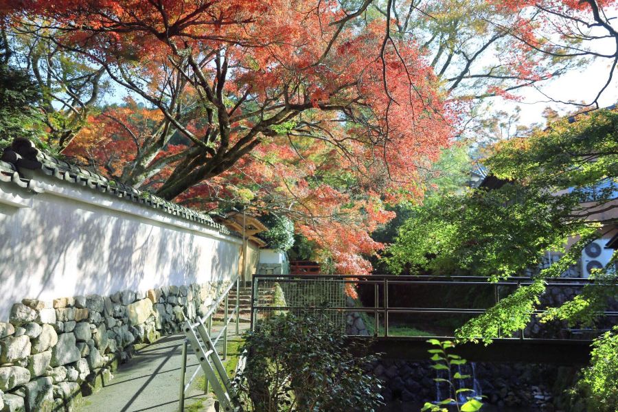 大原之里oharano sato