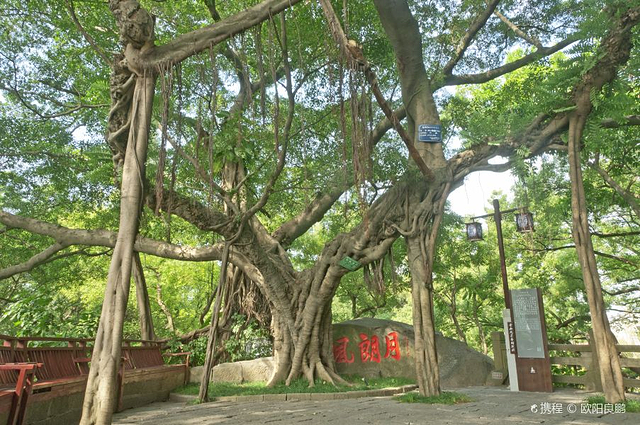 于山风景区-月朗风清