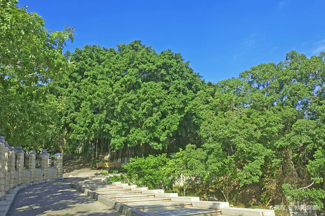 燕尾山生态公园