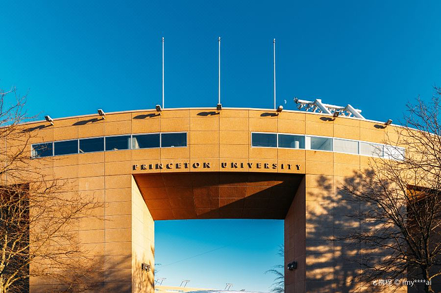 普林斯顿大学