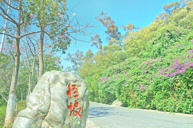 怪坡