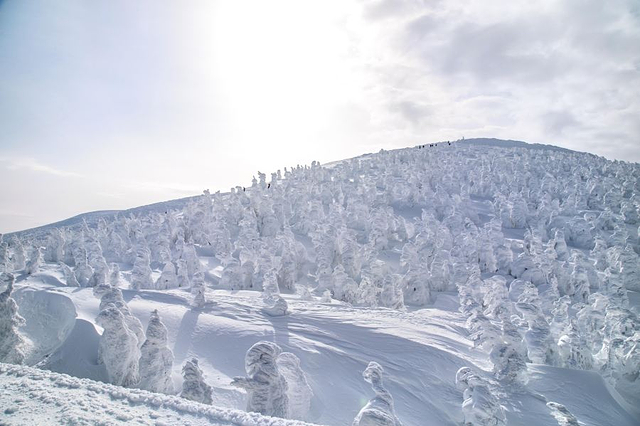 藏王温泉滑雪场