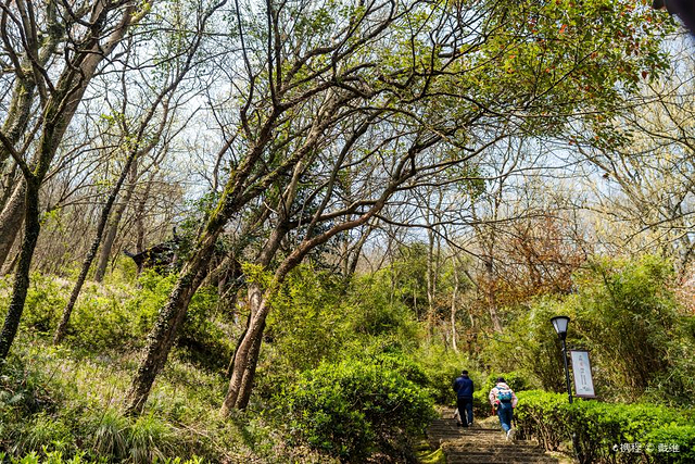 舟山鸦片战争遗址公园