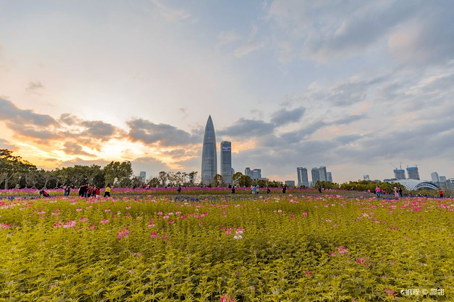 深圳湾公园-流花山