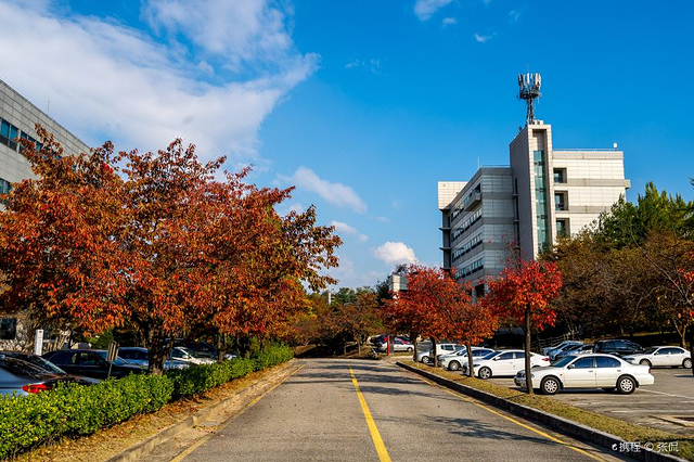 韩国科学技术院