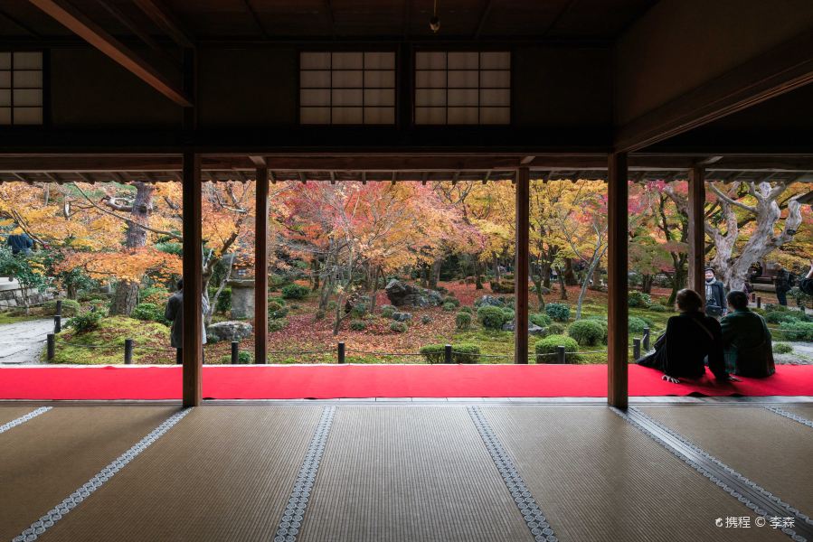 21圆光寺 旅游攻略 门票 地址 问答 游记点评 京都旅游旅游景点推荐 去哪儿攻略