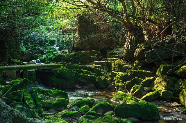 荔波茂兰自然保护区
