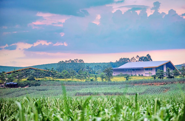 白头叶猴生态旅游区