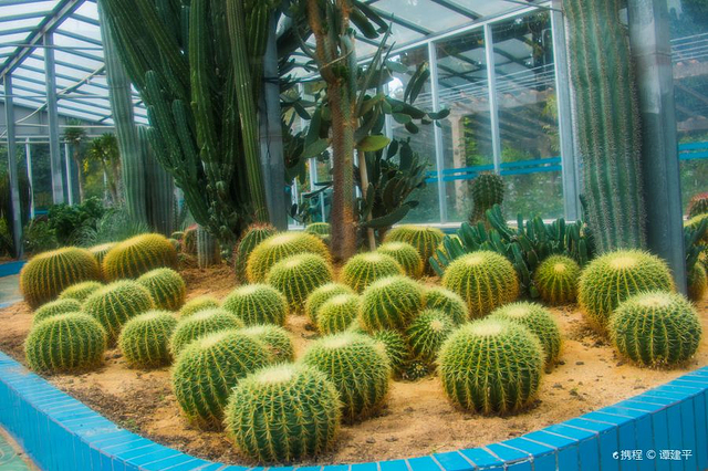 湛江南亚热带植物园