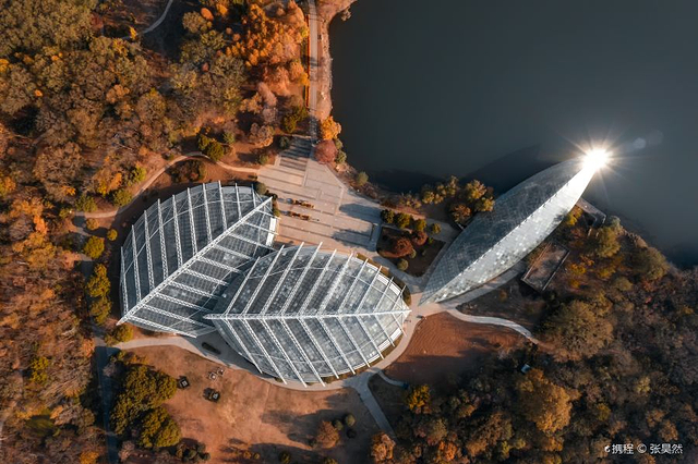 南京中山植物园