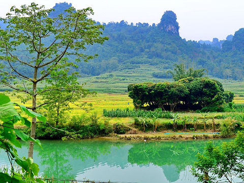 龙洪自然风景区的图片