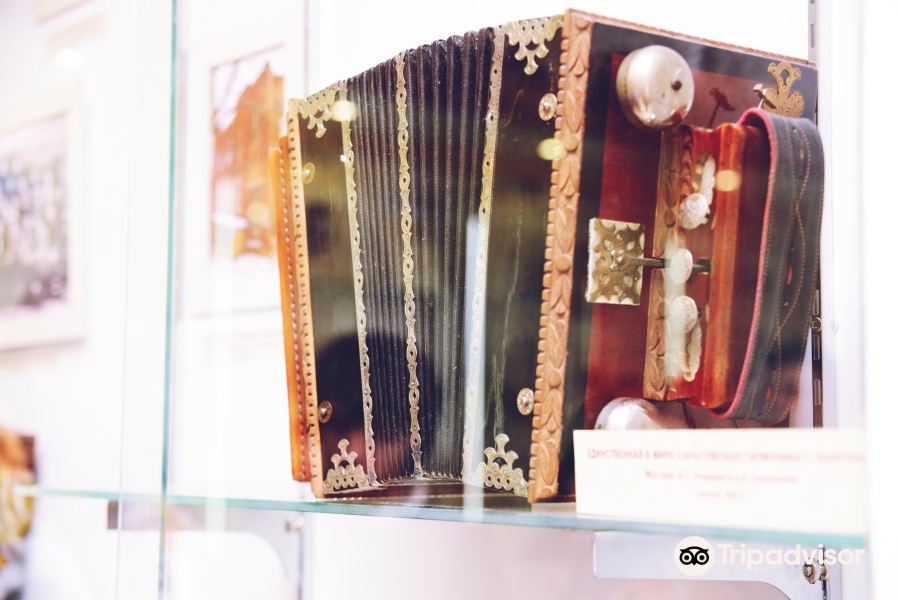 Museum of Saratov Harmonics旅游景点图片