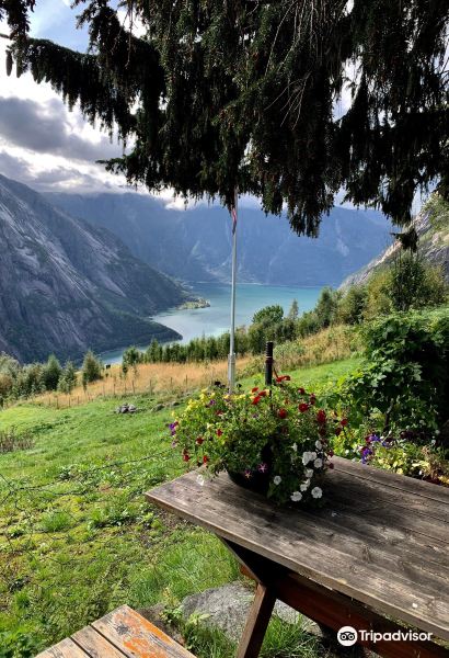 2023Kjeåsen mountain farm-旅游攻略-门票-地址-问答-游记点评，埃德菲尤尔旅游旅游景点推荐-去哪儿攻略