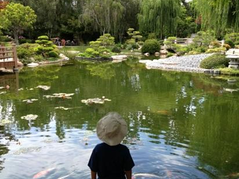艾尔伯恩斯米勒日本花园旅游景点图片