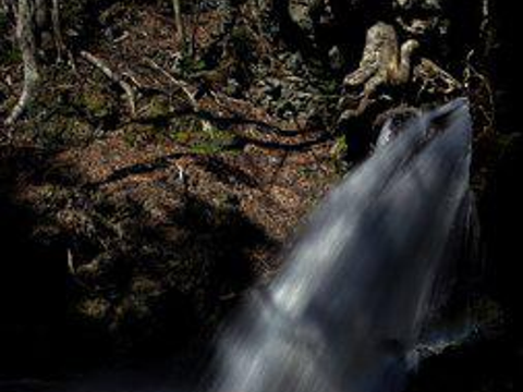 钟山の滝旅游景点图片