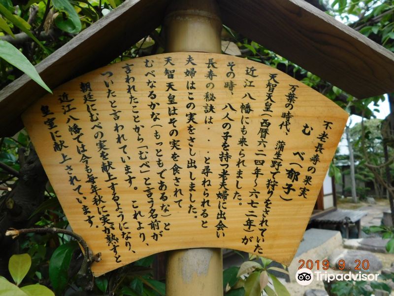 21五个庄金堂街区 近江商人旧住宅 旅游攻略 门票 地址 问答 游记点评 东近江市旅游旅游景点推荐 去哪儿攻略