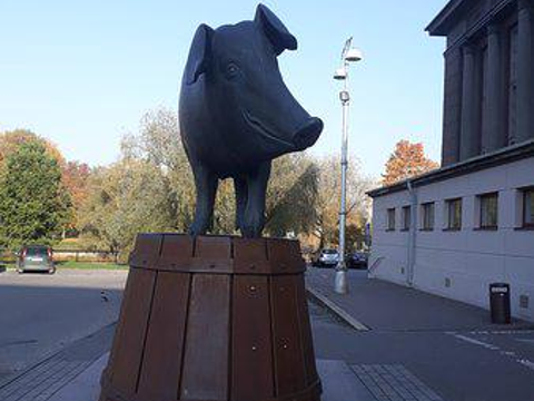 Sculpture Bronze Pig旅游景点图片