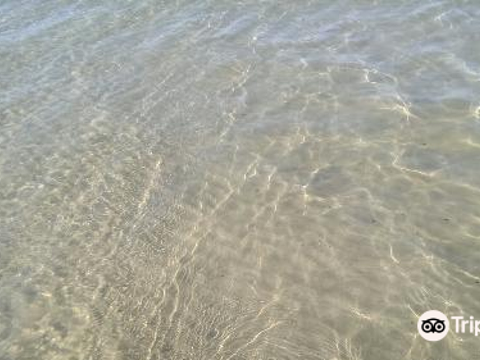 Lido Delle Sirene旅游景点图片