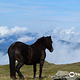 Monte Cimone