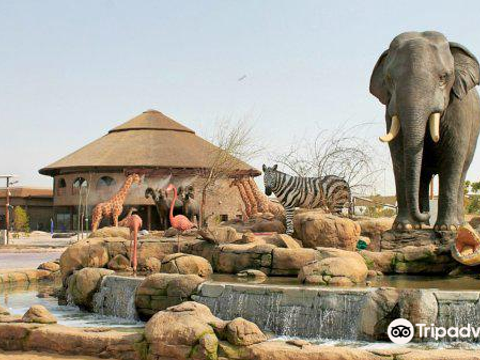 迪拜野生动物园旅游景点图片