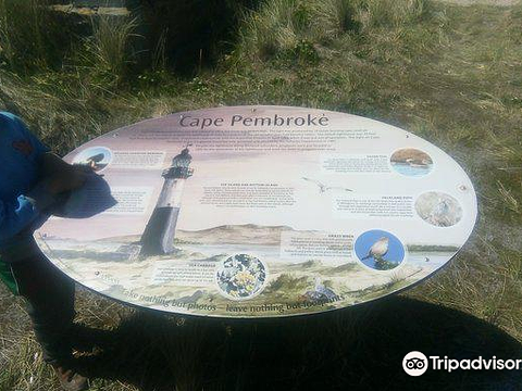 Cape Pembroke Lighthouse的图片
