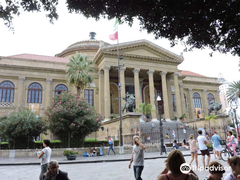 Biblioteca della Fondazione Teatro Massimo旅游景点图片