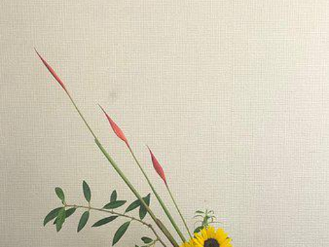 Japanese Style Flower Lesson - Masashi Kaki Design旅游景点图片