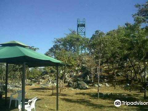 Lusaka National Park旅游景点图片