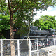 D51 222 steam locomotive