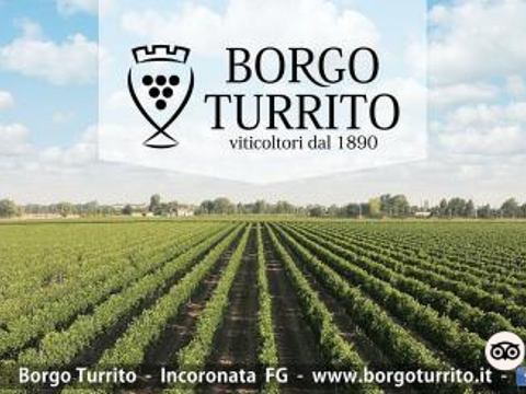 Borgo Turrito wines旅游景点图片