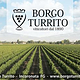 Borgo Turrito wines