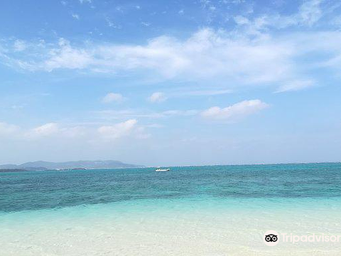 Bird Island旅游景点图片