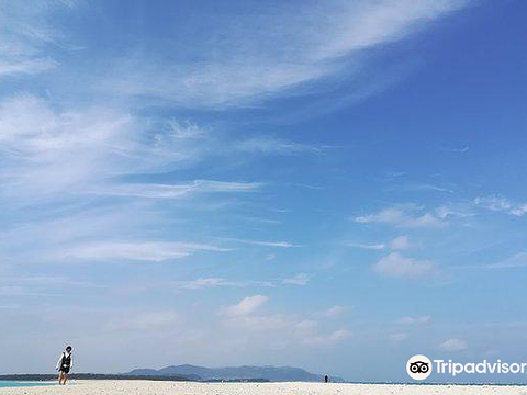 Bird Island旅游景点图片